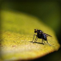 /album/ventthamisppa/photolia-a07-jpg/